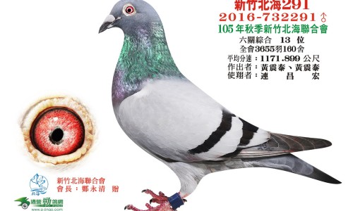 冬瓜的功效和作用营养价值-冬瓜央的功效网 | 冬瓜功效与作用营养,冬瓜的功效与禁忌