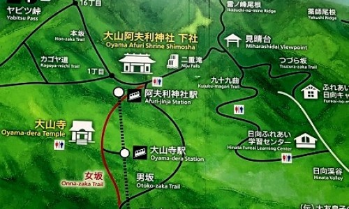 冬瓜的功效与作用有来医生-冬瓜央的功效网 | 冬瓜功效与作用营养,冬瓜的功效与禁忌