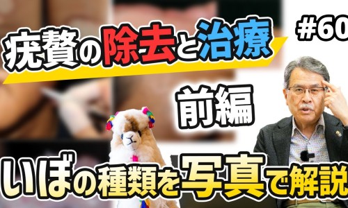 冬瓜的功效与作用有来医生-冬瓜央的功效网 | 冬瓜功效与作用营养,冬瓜的功效与禁忌